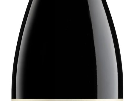 Aldonia Garnacha  100  2019 2019 Online Sale