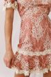 Andrea Puff Sleeve Lace Dress Rose Beige Discount