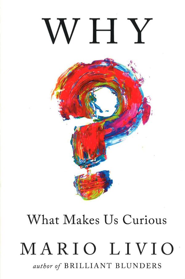 Why?: What Makes Us Curious on Sale