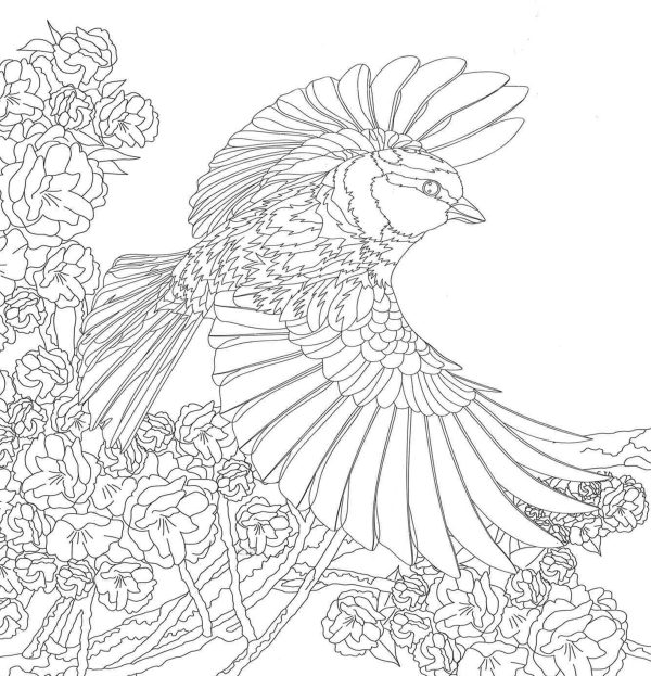 Animals Of The World Coloring Book on Sale